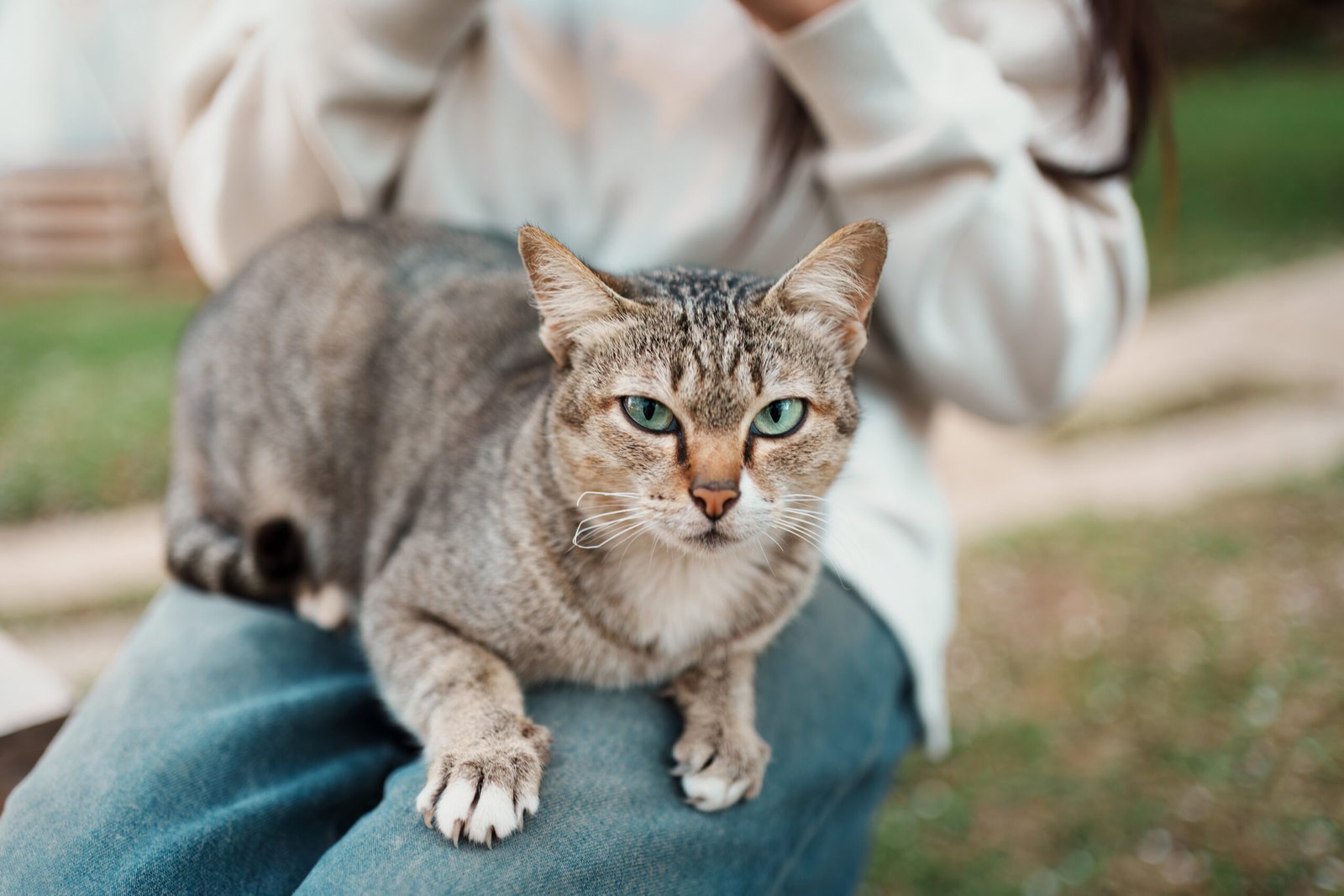 Small pets need specialized care too. Learn what professional critter sitting includes for rabbits, guinea pigs, hamsters, birds, reptiles, fish, and other small pets in Chelmsford, MA.